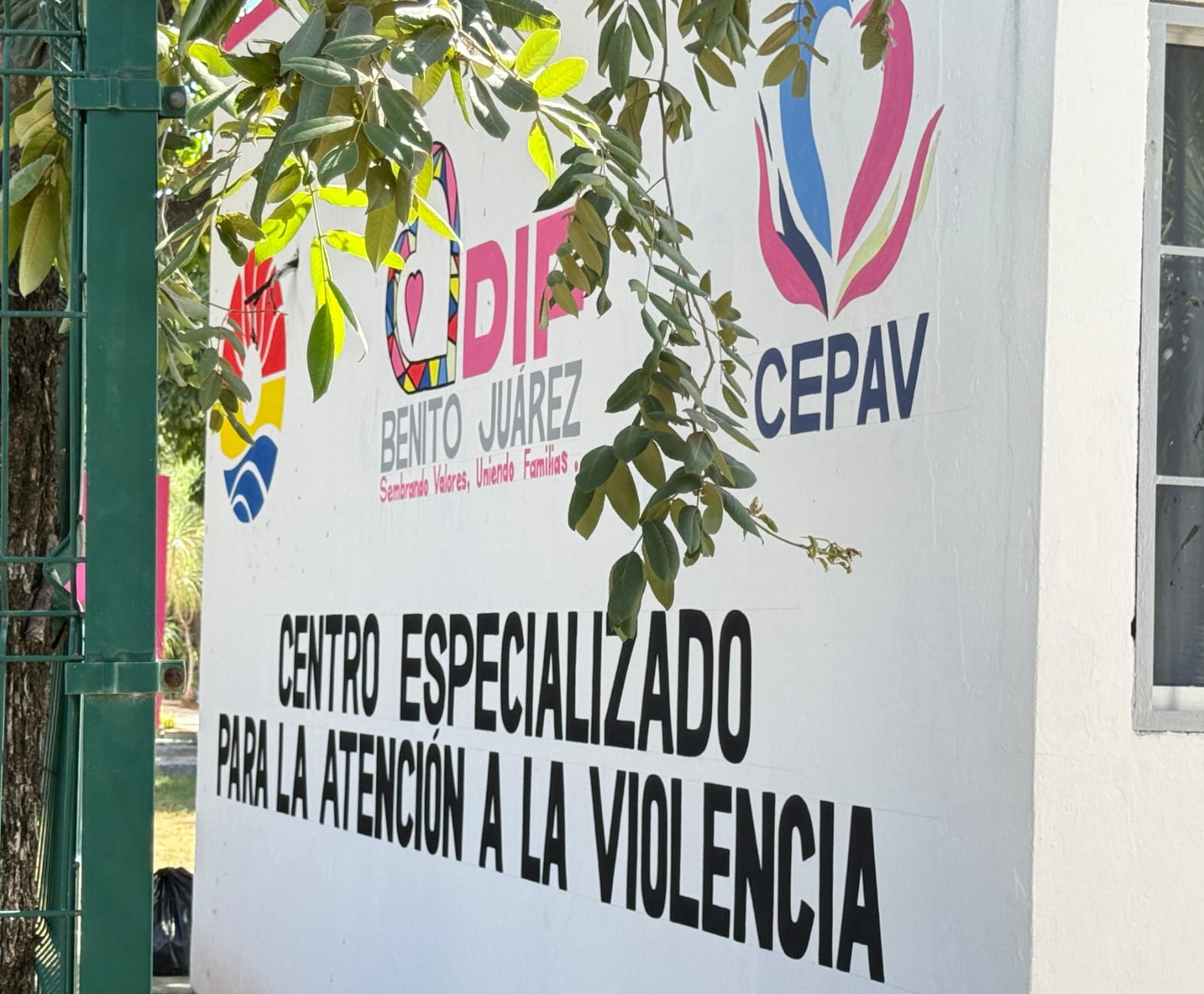 uploads/6/32/01 (2902).Jpeg